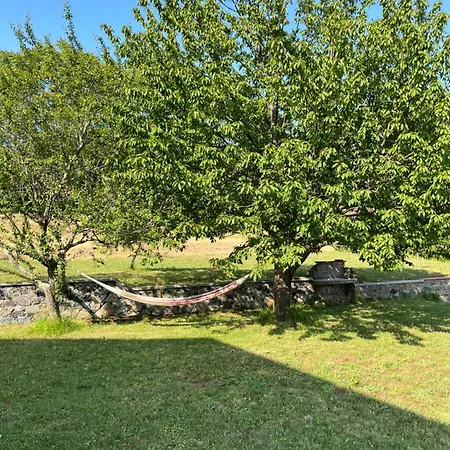 Photo&communication Tatil Evi Bonassola